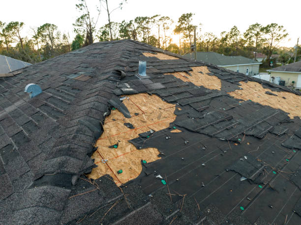 Best Wood Shake Roofing  in Newellton, LA